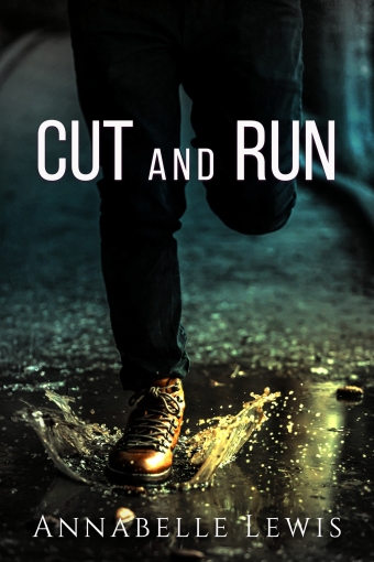 Cut and Run ebook cover betibup