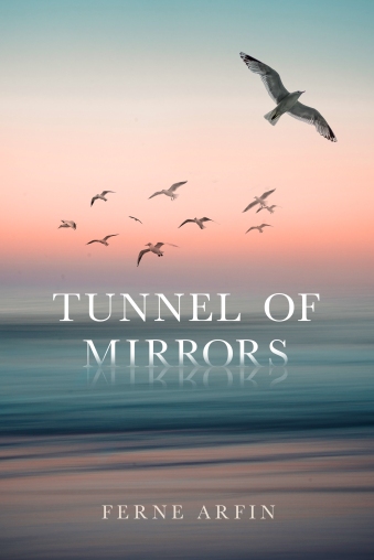 TunneOfMirrors_eBook_cover